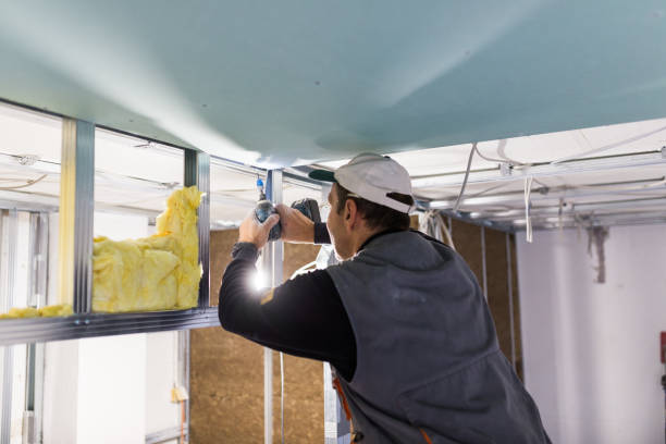 Best Blown-in Insulation in Sand Point, AK