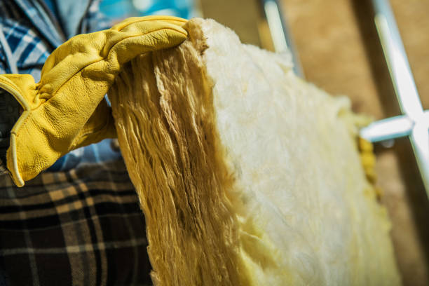 Best Energy Efficiency Insulation in Sand Point, AK