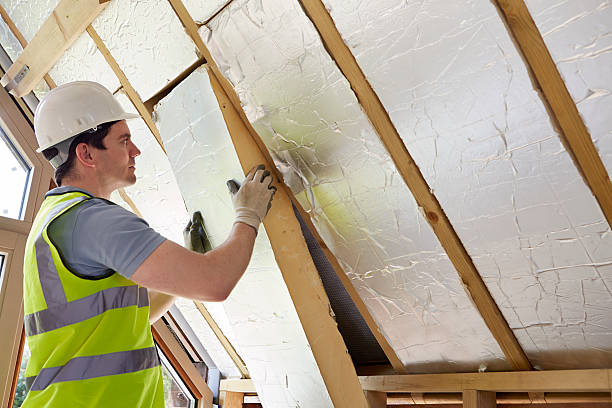 Best Specialized Insulation Services in Sand Point, AK